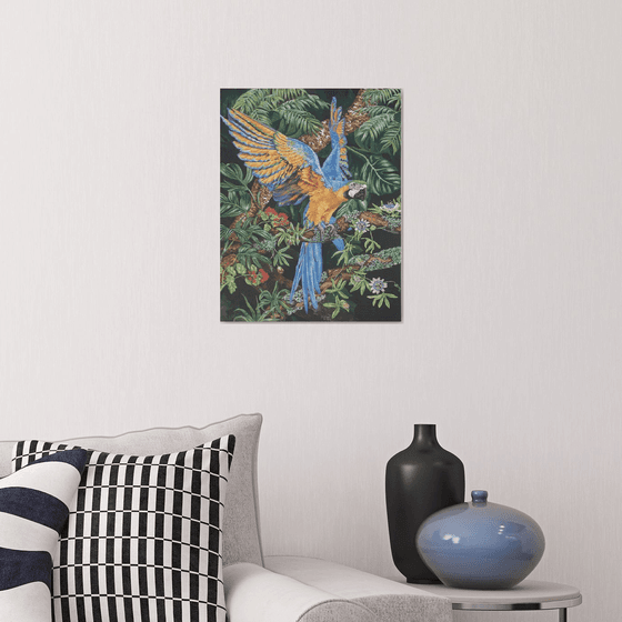 Blue & Yellow Macaw