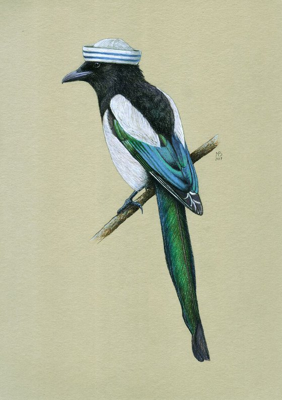 Original pastel drawing bird "Eurasian magpie"
