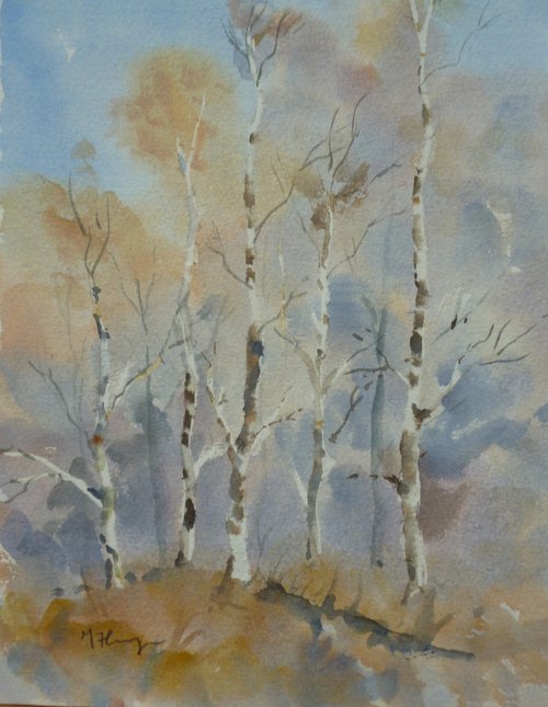 Birches by Maire Flanagan