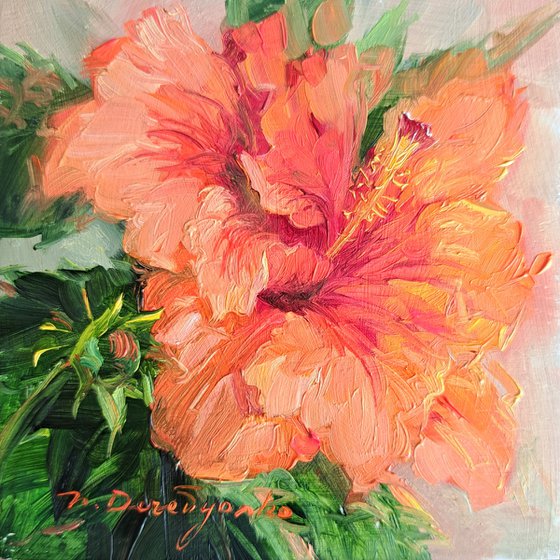 Hibiscus flower