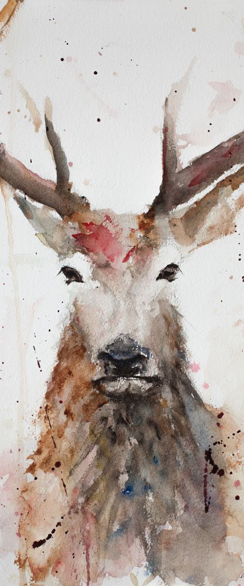 Stag 3 by Tomasz Mikutel