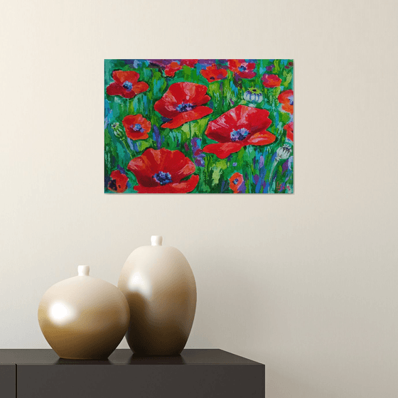 Scarlet poppies in a field