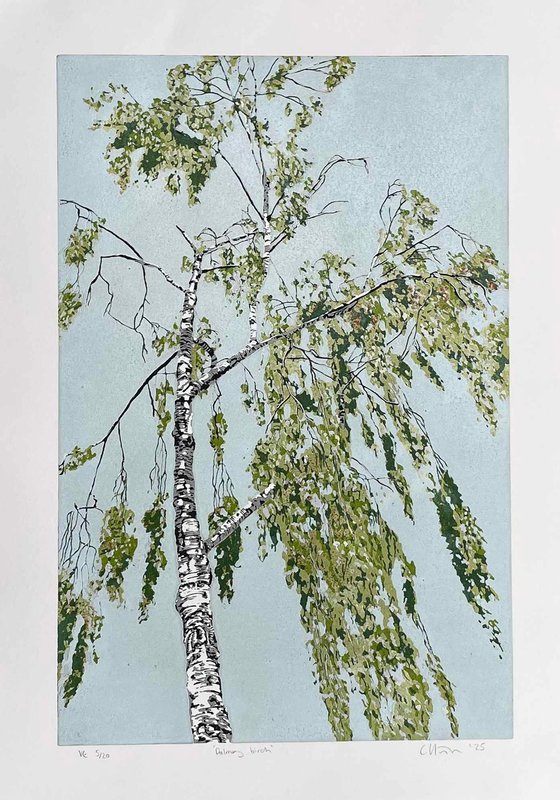Dalmeny Birch linocut