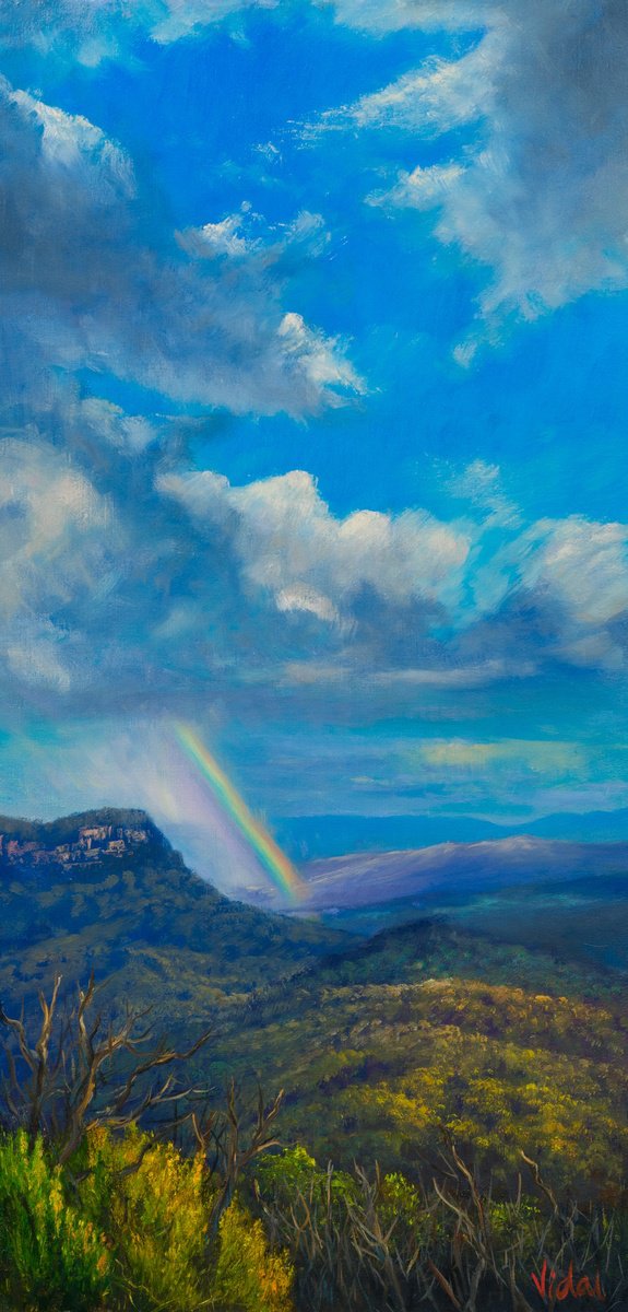 After the storm - Blue Mountains, NSW by Christopher Vidal