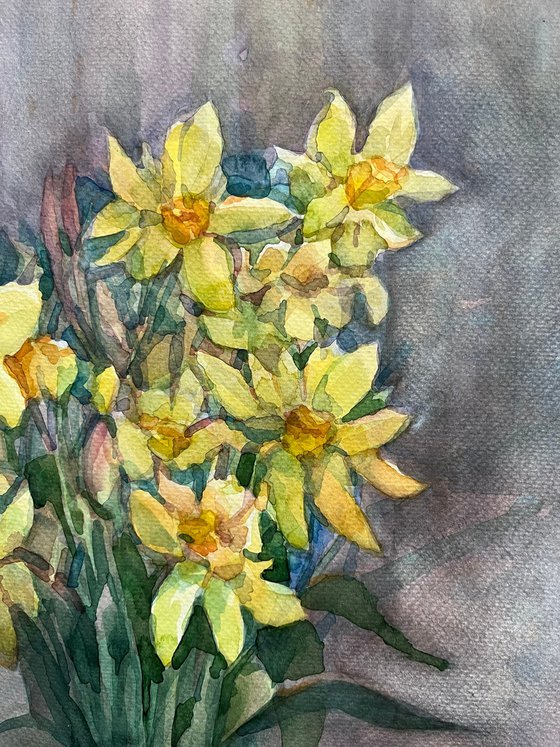 Ukrainian art Daffodils watercolors