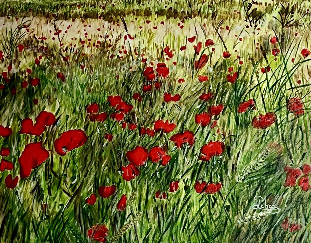 Impressionistic Botanical Oil Painting By Isabelle Lucas, 27 X 21, Red Poppies, Original Artwork
