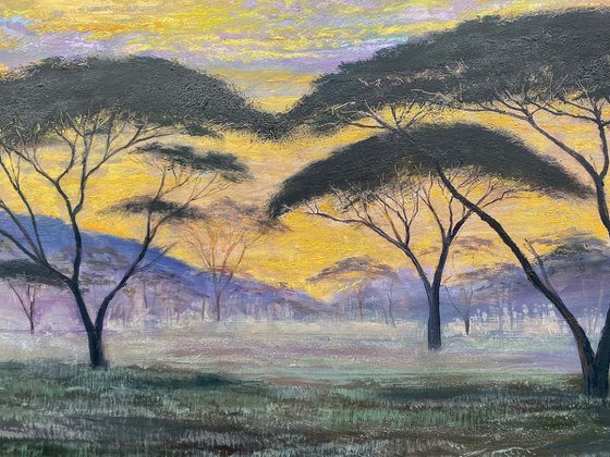 Savannah Sunset
