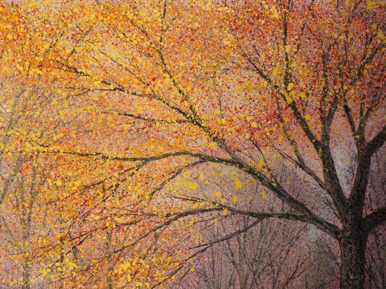 THE DISTANT SOUND OF A WOODPECKER