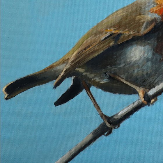 Robin on a Wire, Bird Artwork, Animal Art Framed