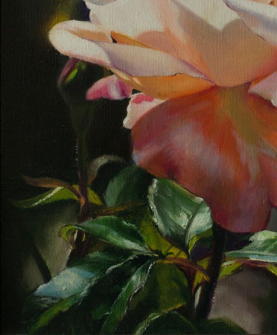 "Lady in Pink"  rose flower  liGHt original painting  GIFT (2018)