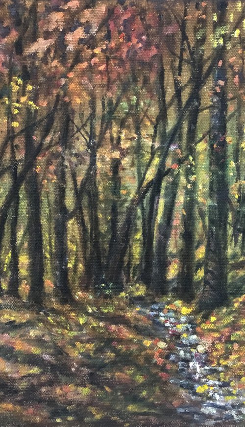 Autumn Woods Interior - 10X14 oil by Kathleen McDermott