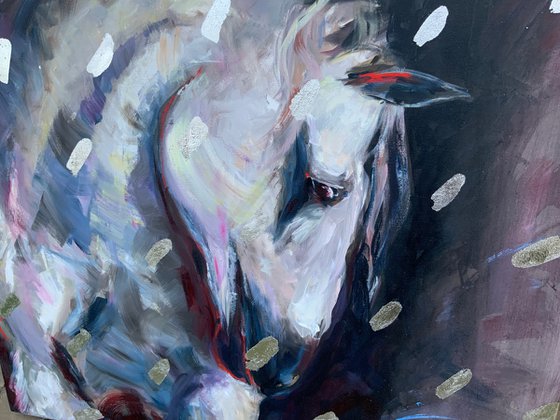 White Horse Portrait