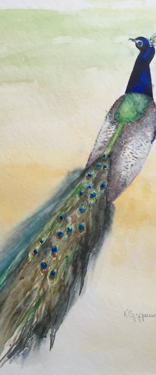 First Peacock by Krystyna Szczepanowski