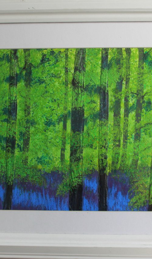 Bluebell Wood by Phil Randles