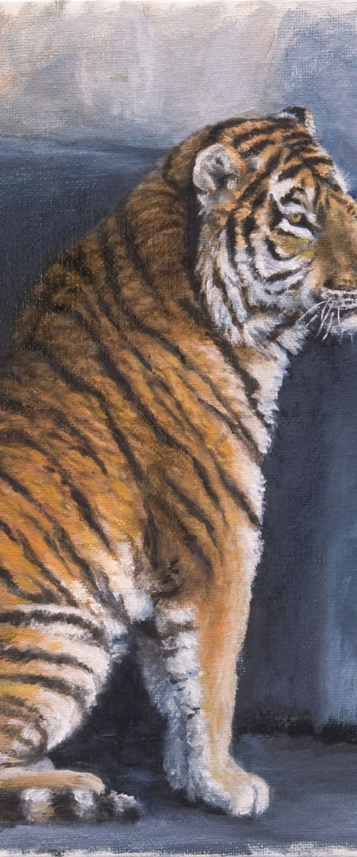 Tiger by John Fleck