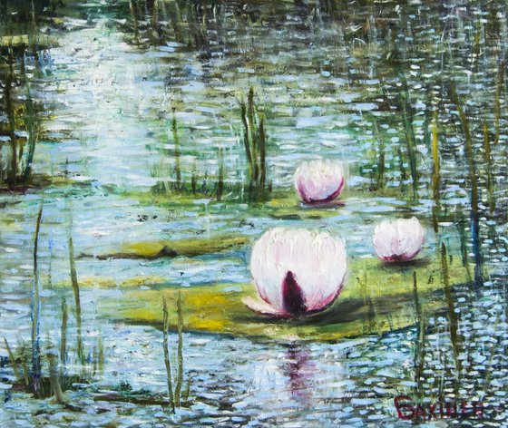 Water lilies.