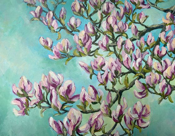 Magnolia in Spring
