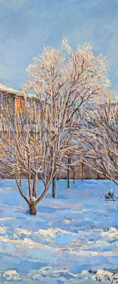Snowbound Garden by Aramayis Khlghatyan
