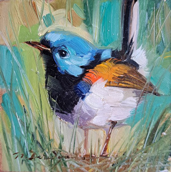 Fairyren bird painting