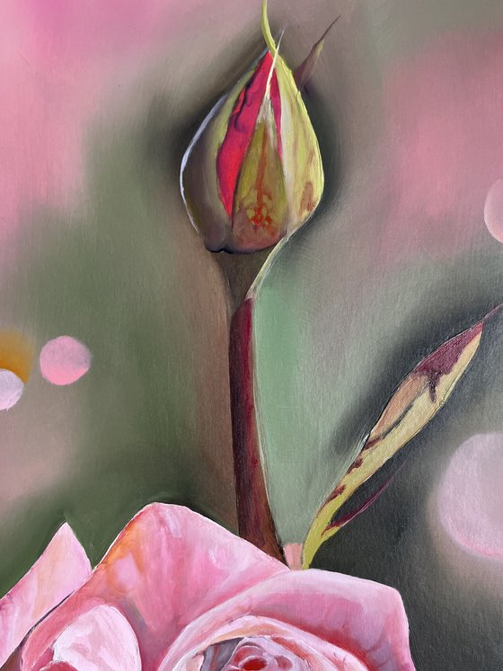 Pink rose oil on paper