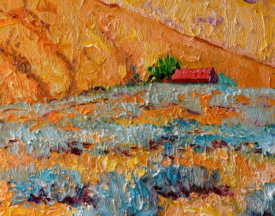 Desert. Midday