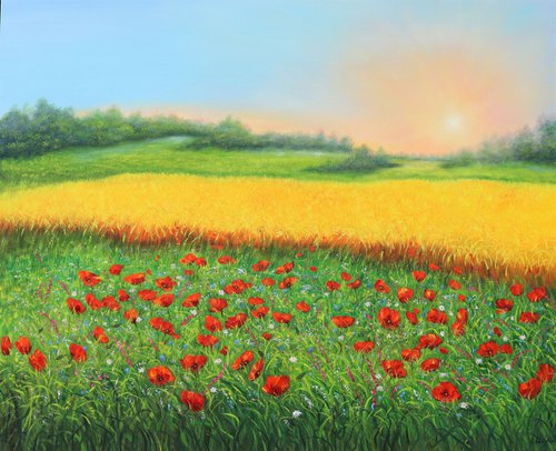 Sunrise at wheat field and poppy meadow by Ludmilla Ukrow
