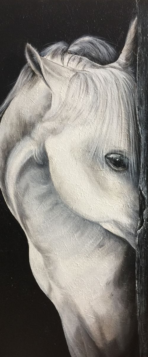 Horse by Eka Peradze