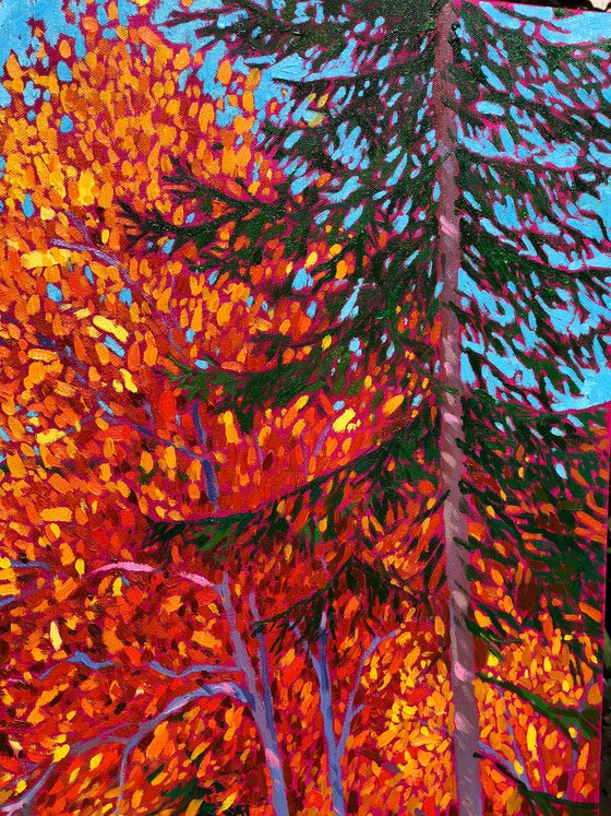 Fall in mountains