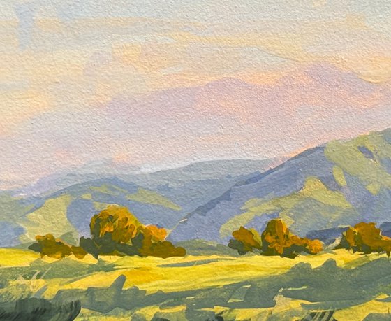 Afternoon Light Temecula Hills