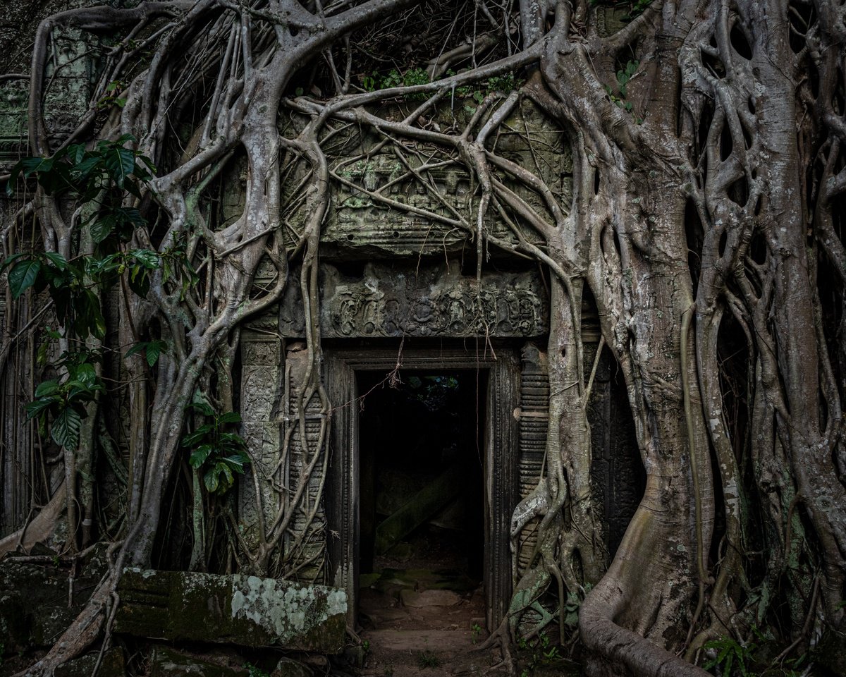 Angkor Series No.4 by Serge Horta