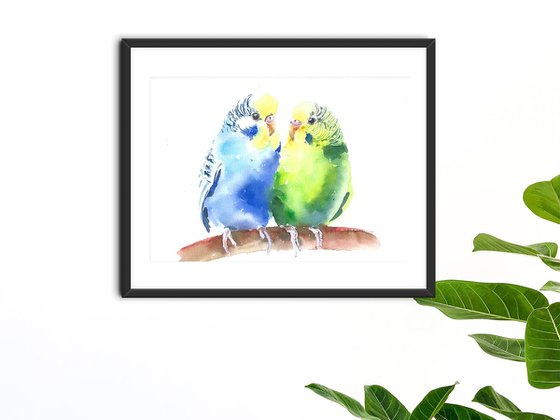 Budgie parakeet tropical birds artwork, watercolor illustration