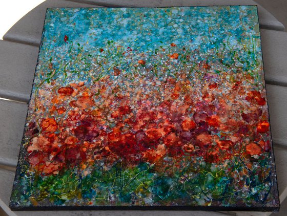 Field of Spring Poppies by @OLenaArt