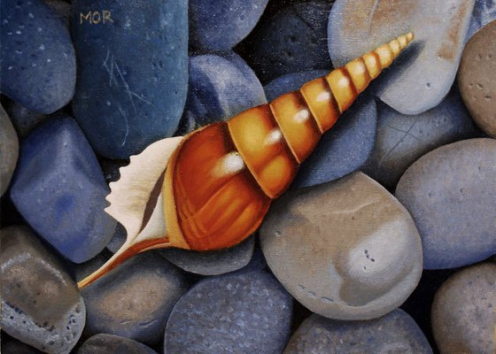 Sea shell and Pebbles