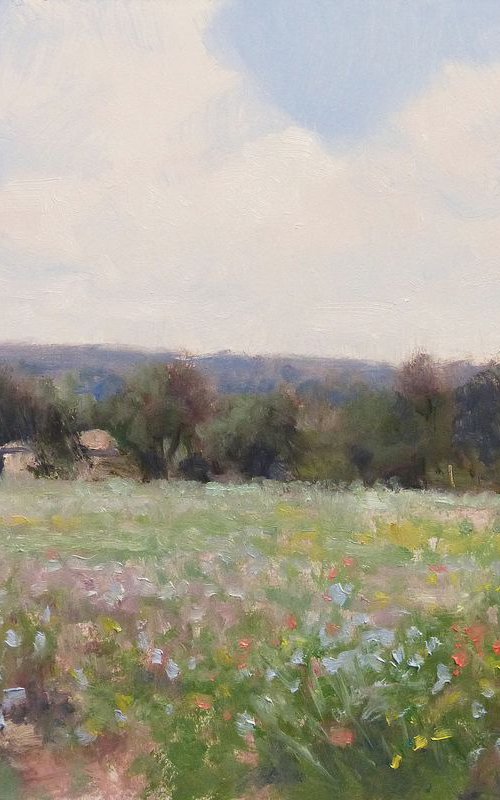 Fields near Forcalquier by Pascal Giroud