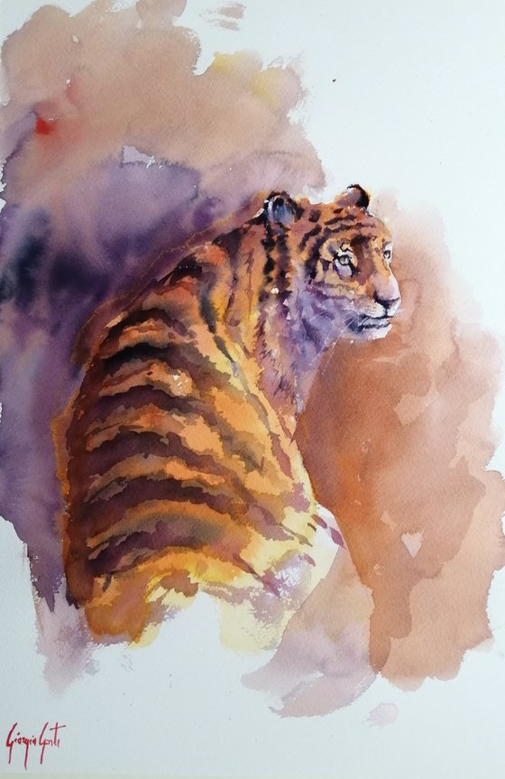 tiger 6