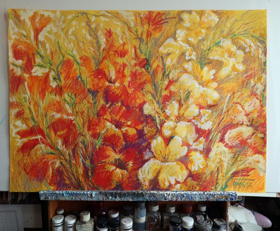 Gladiolus 2