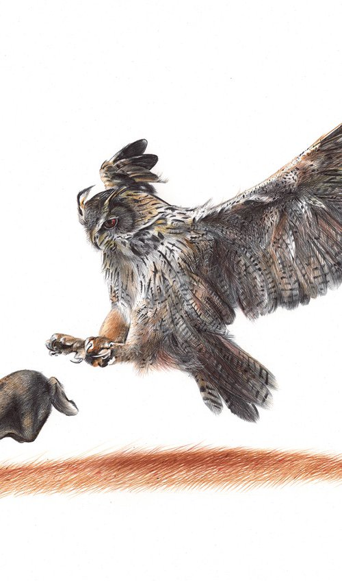 Eurasian Eagle-owl by Daria Maier