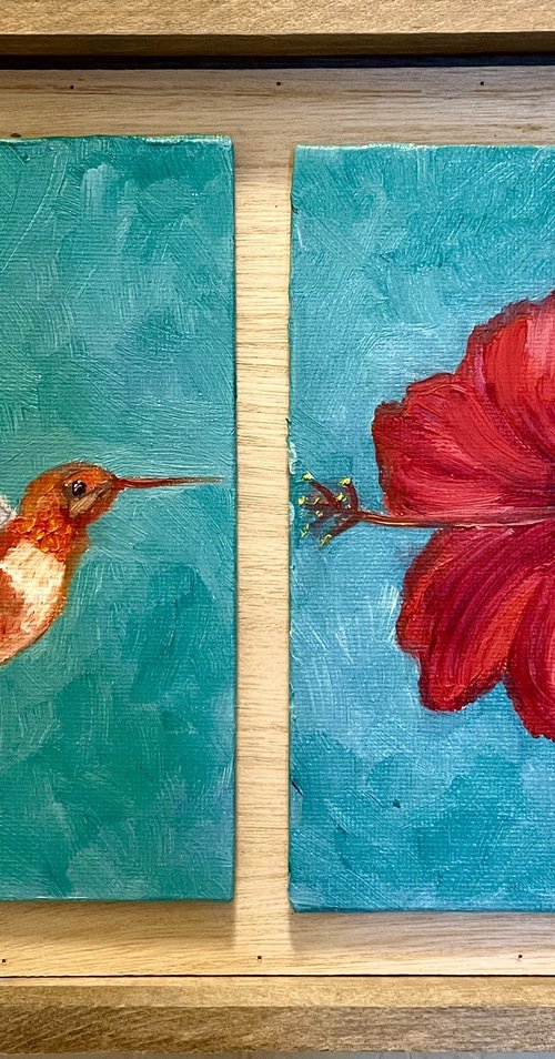 Hummingbird and The Flower by Deniz A.