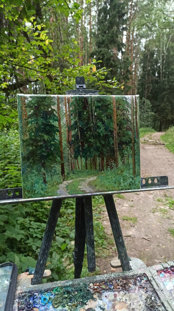 Among the spruces