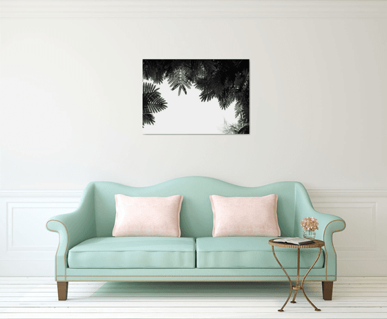 The Tree Top II | Limited Edition Fine Art Print 1 of 10 | 90 x 60 cm