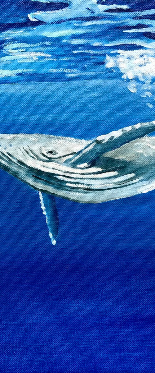 Lonely whale by Volodymyr Smoliak