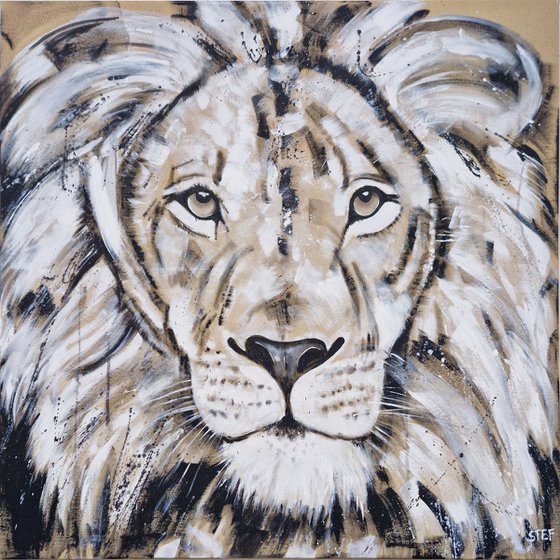 Lion #25 - Series BIG CAT