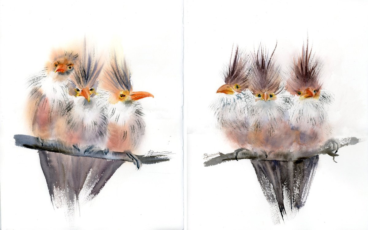 Impressionistic Watercolour , Trio Of Crested Birds - Diptych By Olga Tchefranov (Shefranov), 22 X 14, Artwork For Sale On Artfinder