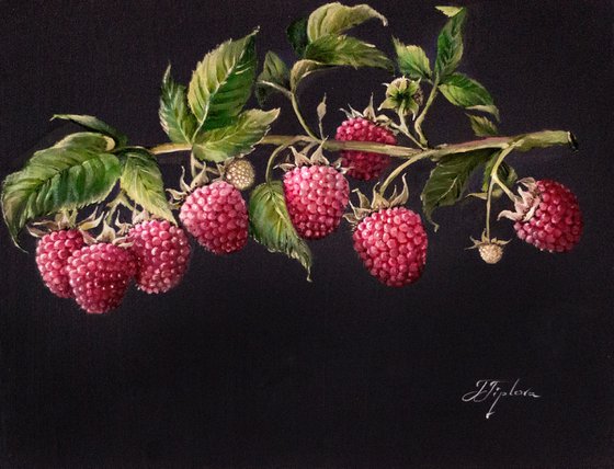 "THE RASPBERRIES"