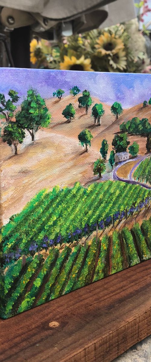 Napa Valley vineyards by Inna Montano