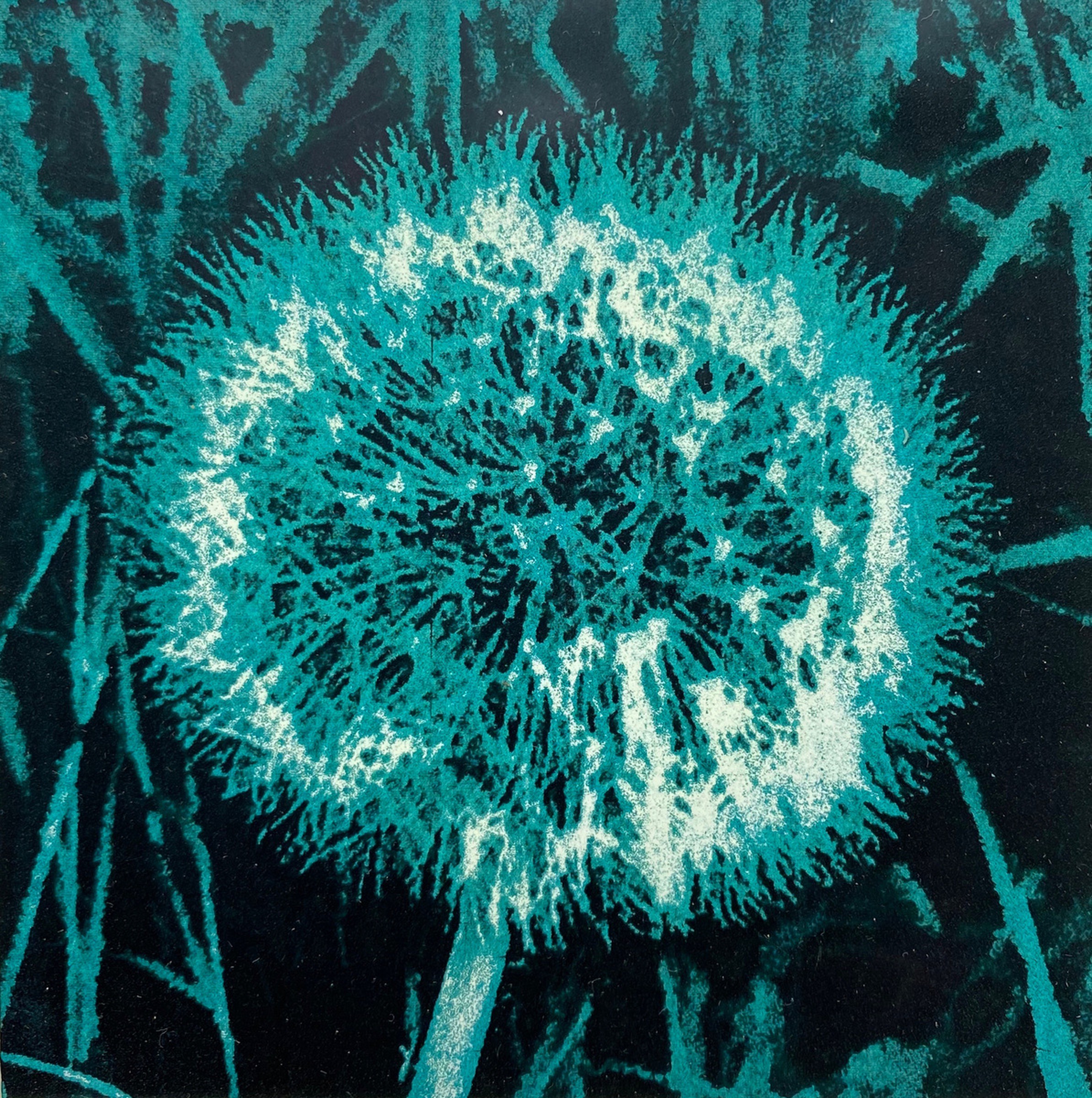 Devilish Joy Dark Aqua By Diane Mclellan Artfinder I think i've finally found a companion to still 17! artfinder