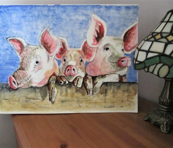 Three Little Pigs