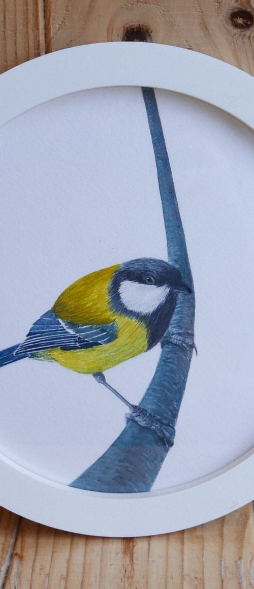 Framed Bird art. Great tit. Part 5 by Karina Danylchuk