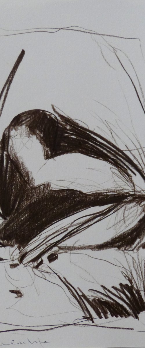 The Pencil Sketch, 21x29 cm ES8 by Frederic Belaubre