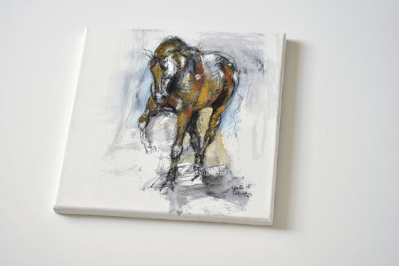 Equine Nude 31t